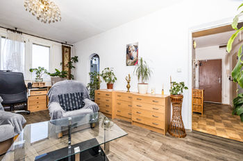 Obývací pokoj s pohledem do chodby - Prodej bytu 2+1 v osobním vlastnictví, Ústí nad Labem