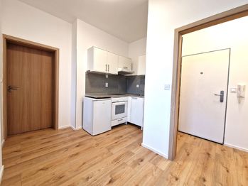 Pronájem bytu 1+1 v osobním vlastnictví 34 m², Praha 4 - Nusle