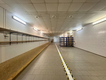 Pronájem skladovacích prostor 325 m², Bohumín