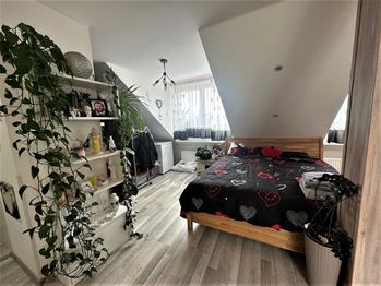 Pronájem bytu 1+kk v osobním vlastnictví 70 m², Slavkov u Brna