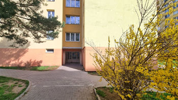 Pronájem bytu 2+kk v družstevním vlastnictví, České Budějovice
