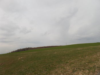louka - pastvina v sousedství pozemku - Prodej pozemku 970 m², Čachrov