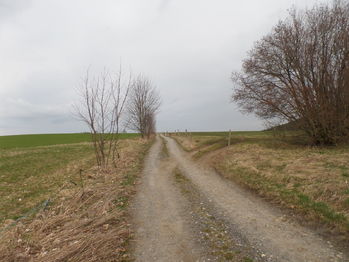 cesta mezi pozemkem a loukou - Prodej pozemku 970 m², Čachrov