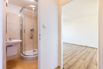 koupelna z chodby - Prodej bytu 1+1 v osobním vlastnictví, Praha 3 - Žižkov