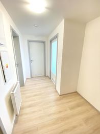 Pronájem bytu 2+kk v osobním vlastnictví 55 m², Plzeň
