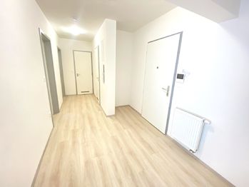 Pronájem bytu 3+kk v osobním vlastnictví 100 m², Plzeň
