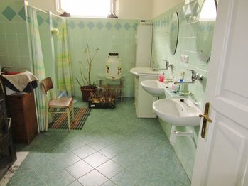 Koupelna. - Prodej pozemku 43735 m², Tábor