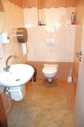 Toaleta - Pronájem kancelářských prostor 818 m², Plzeň