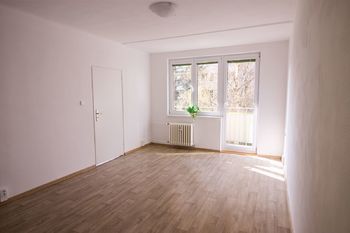 pokoj - Pronájem bytu 1+1 v osobním vlastnictví 50 m², České Budějovice