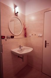 koupelna - Pronájem bytu 1+1 v osobním vlastnictví 50 m², České Budějovice