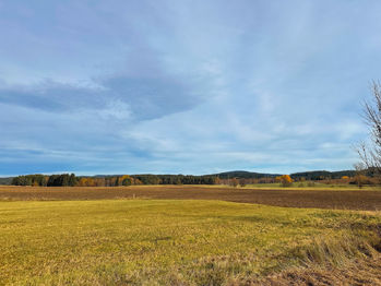 Prodej pozemku 1250 m², Bělá nad Radbuzou