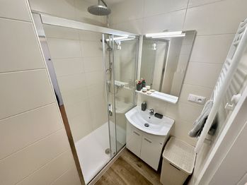 Umyvadlo a sprchový kout - Prodej bytu 1+1 v osobním vlastnictví 29 m², Praha 4 - Chodov