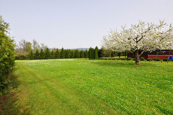 Prodej pozemku 2002 m², Terezín