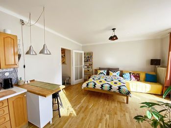 Pronájem bytu 1+kk v osobním vlastnictví 35 m², Praha 7 - Holešovice