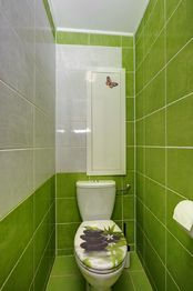 toaleta - Prodej bytu 2+1 v osobním vlastnictví 52 m², Brno