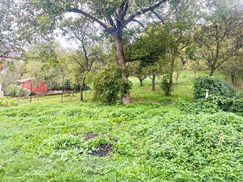 Prodej domu 200 m², Loučka