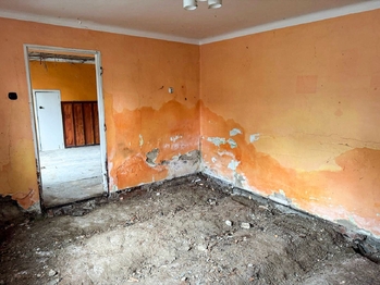 Prodej domu 200 m², Loučka