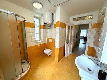 koupelna - Pronájem bytu 3+kk v osobním vlastnictví, Plzeň