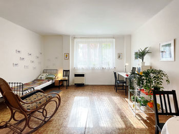 Zelená liška - pokoj s oknem na JV (Braňo Pažitka) - Prodej bytu 1+kk v osobním vlastnictví 45 m², Praha 4 - Krč