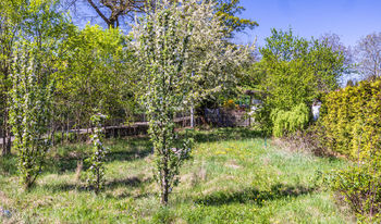 Zahrada - Prodej pozemku 528 m², Kadaň