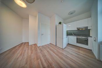 Pronájem bytu 1+1 v osobním vlastnictví 34 m², Praha 4 - Nusle