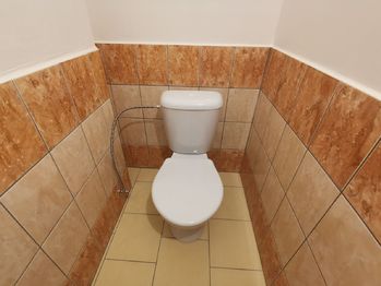 Koupelna, WC - Pronájem bytu 1+1 v osobním vlastnictví, Plzeň