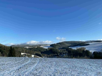 Prodej pozemku 3500 m², Sobkovice