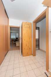 Pronájem bytu 1+1 v osobním vlastnictví 46 m², Plzeň