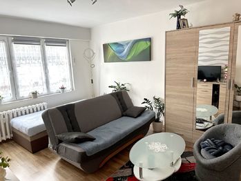 Prodej bytu 1+1 v družstevním vlastnictví 26 m², Havířov