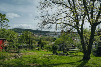 Prodej pozemku 1337 m², Brno