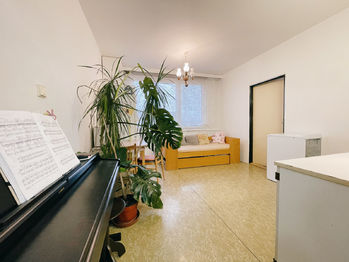 Pronájem bytu 1+1 v osobním vlastnictví 37 m², Písek