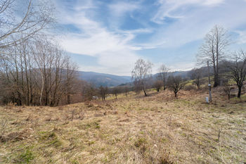 Prodej pozemku 3484 m², Žítková