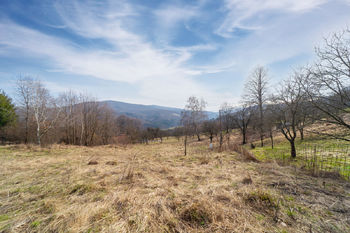 Prodej pozemku 3484 m², Žítková