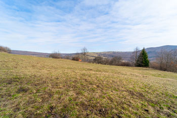 Prodej pozemku 3484 m², Žítková