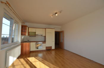 Pronájem bytu 1+kk v osobním vlastnictví 31 m², Dolní Břežany