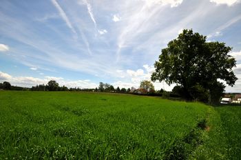 od severu ... - Prodej pozemku 1100 m², Kyjov