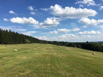 Prodej pozemku 234 m², Stará Voda