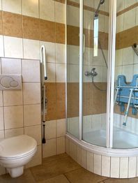 1KK - koupelna s WC - Prodej domu 215 m², Desná