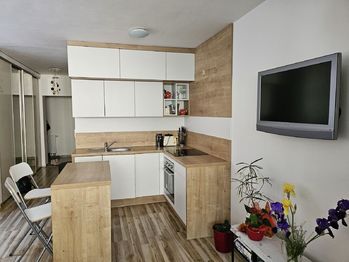 Prodej bytu 1+kk v družstevním vlastnictví 40 m², Český Těšín