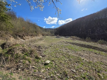 Prodej domu 179 m², Hlubočky