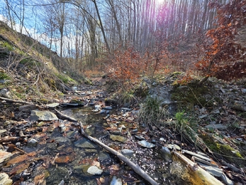 Prodej domu 179 m², Hlubočky