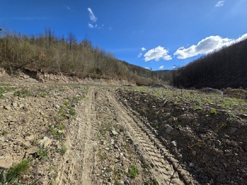 Prodej domu 179 m², Hlubočky