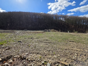 Prodej domu 179 m², Hlubočky