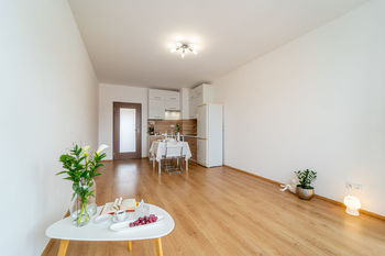 Pronájem bytu 1+kk, 34 m2, Vídeňská, Brno-Štýřice - Pronájem bytu 1+kk v osobním vlastnictví 32 m², Brno