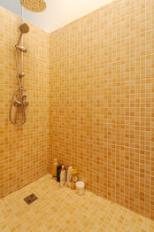 sprcha - Prodej domu 248 m², Domašov