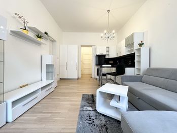Pronájem bytu 1+kk v osobním vlastnictví 33 m², Praha 3 - Žižkov