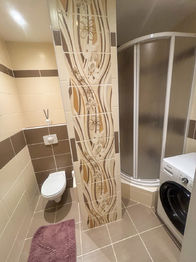 koupelna - Pronájem bytu 1+1 v osobním vlastnictví, Ústí nad Labem