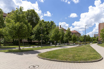 Pronájem obchodních prostor 252 m², Kladno