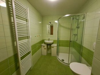 koupelna - Pronájem bytu 1+kk v osobním vlastnictví 36 m², České Budějovice