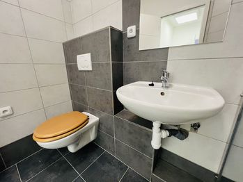 Pronájem obchodních prostor 55 m², Kyjov